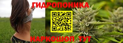 эйфоретик Будённовск