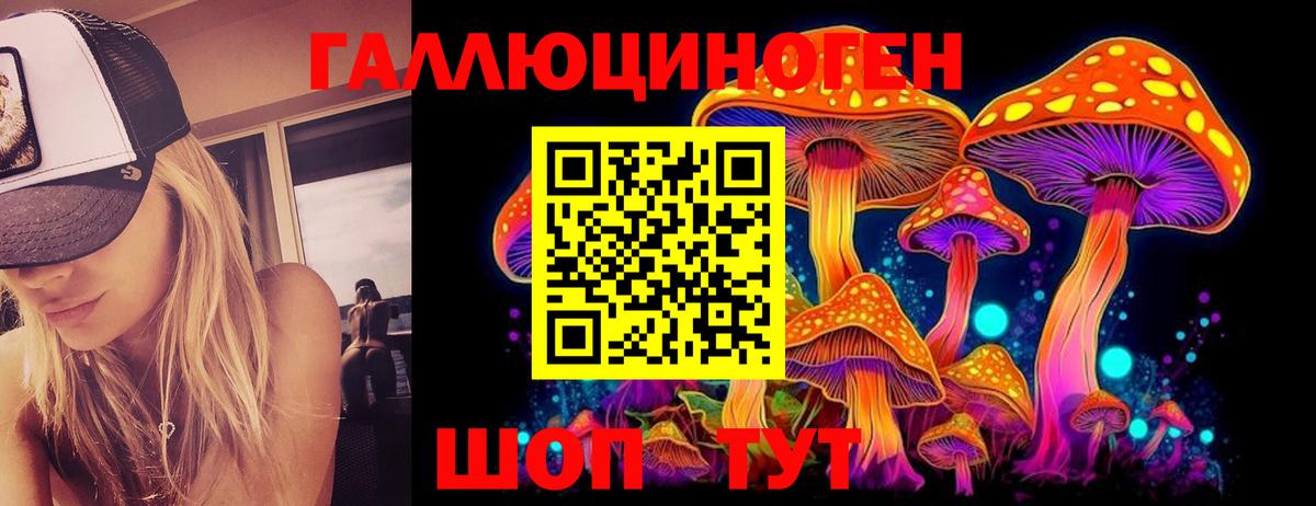 Псилоцибиновые грибы мицелий  Вход с VPN  Лесосибирск 